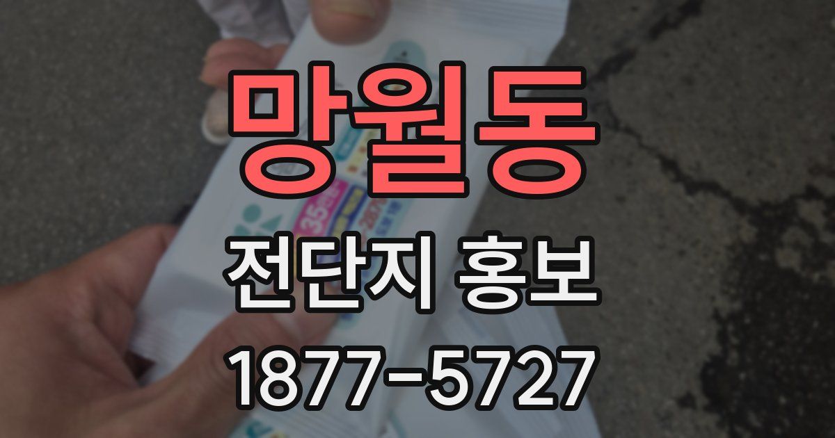 망월동 전단지 홍보