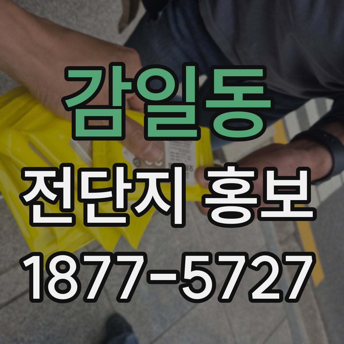 감일동 전단지 홍보