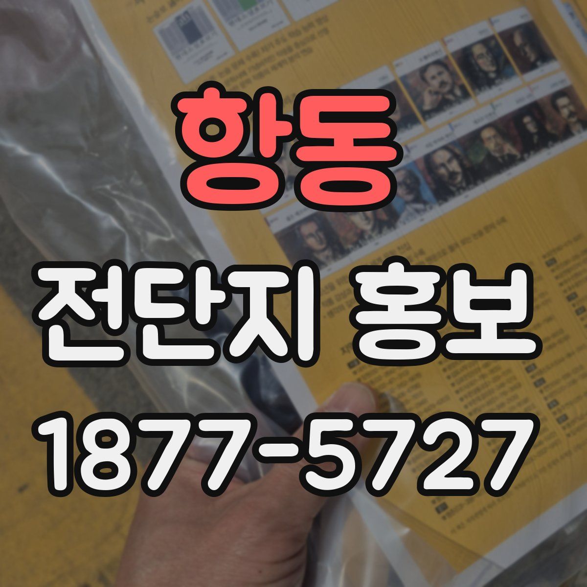 항동 전단지 홍보