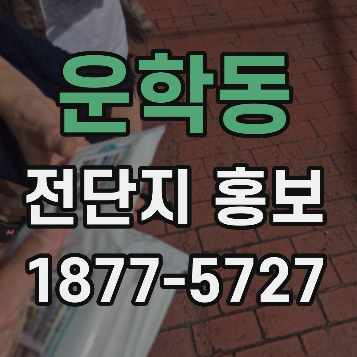 운학동 전단지 홍보