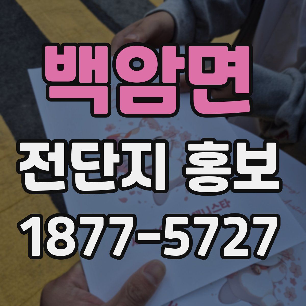 백암면 전단지 홍보