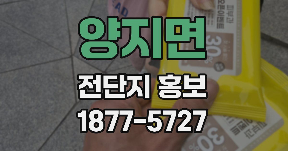 양지면 전단지 홍보