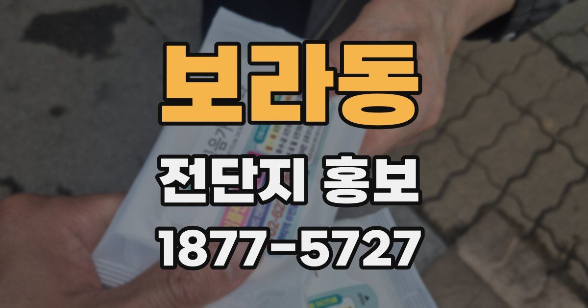 보라동 전단지 홍보