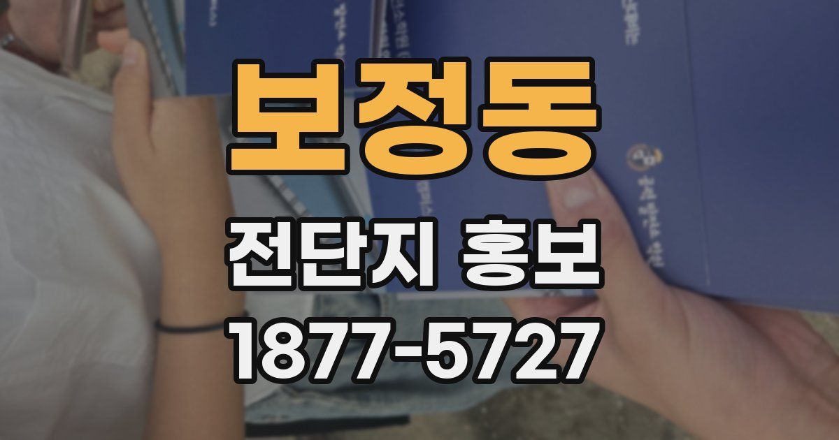 보정동 전단지 홍보