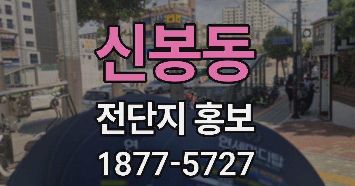 신봉동 전단지 홍보