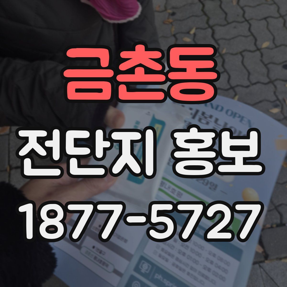 금촌동 전단지 홍보