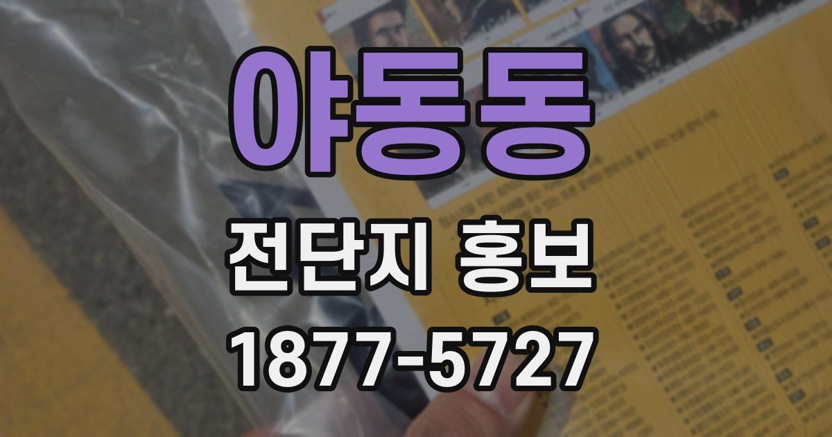 야동동 전단지 홍보
