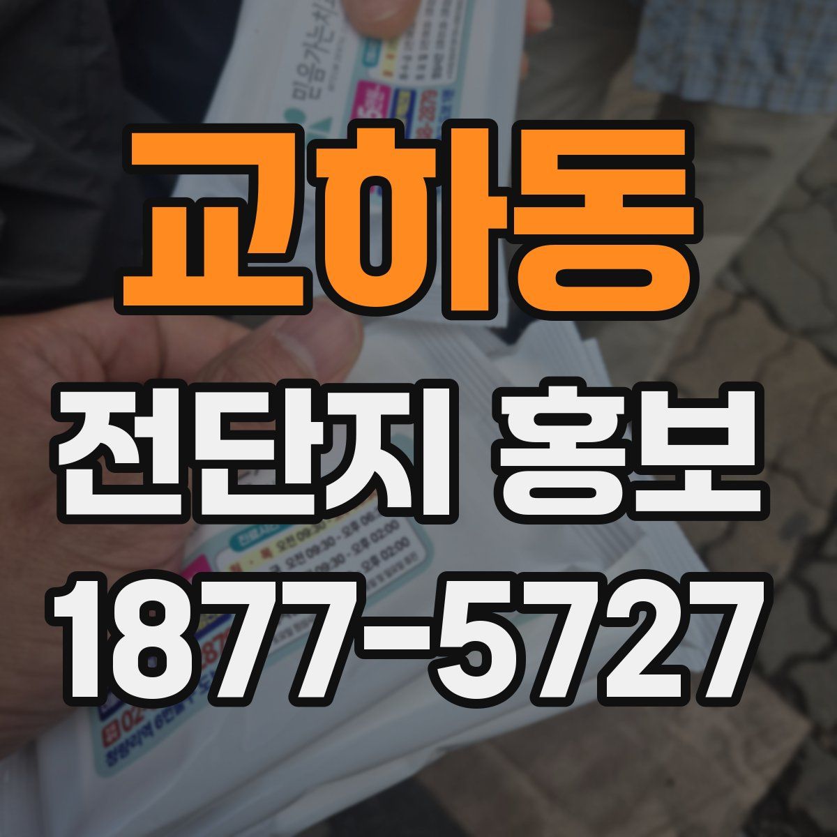 교하동 전단지 홍보