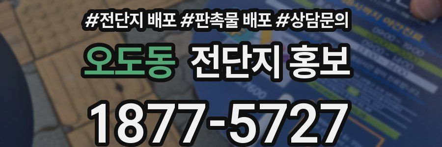 오도동 전단지 홍보