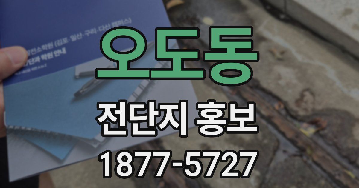 오도동 전단지 홍보