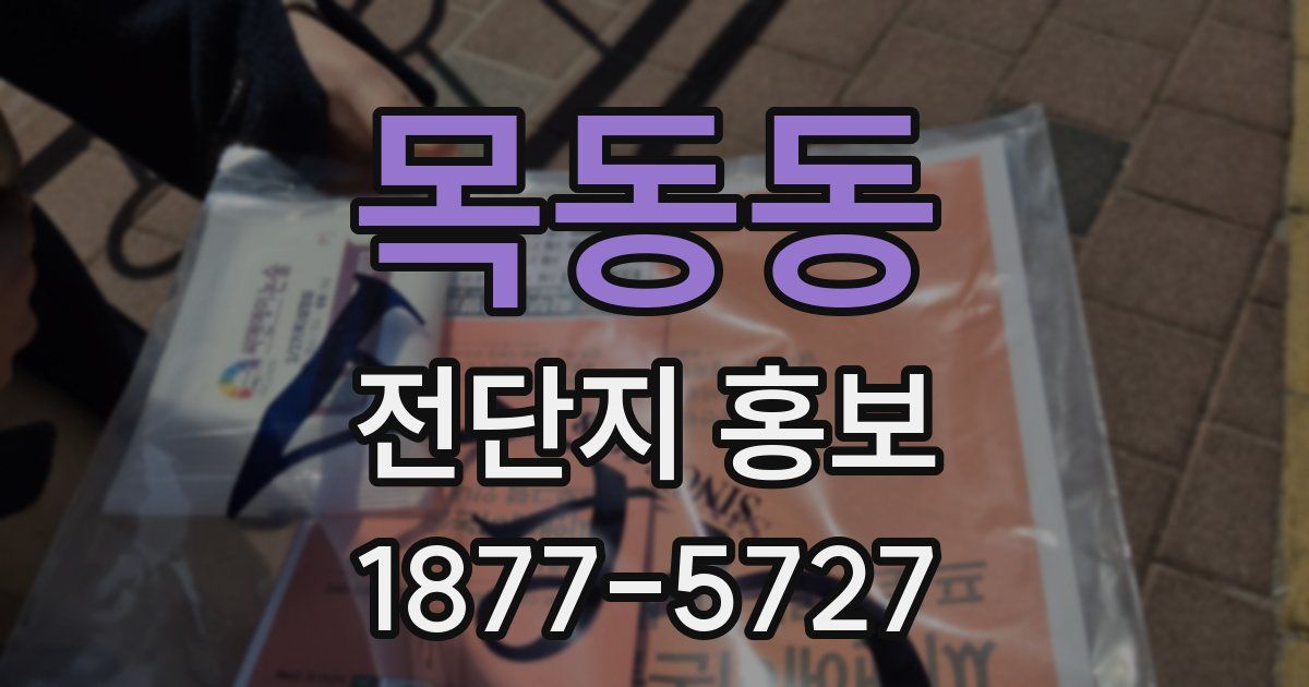 목동동 전단지 홍보