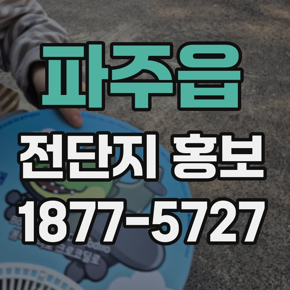 파주읍 전단지 홍보