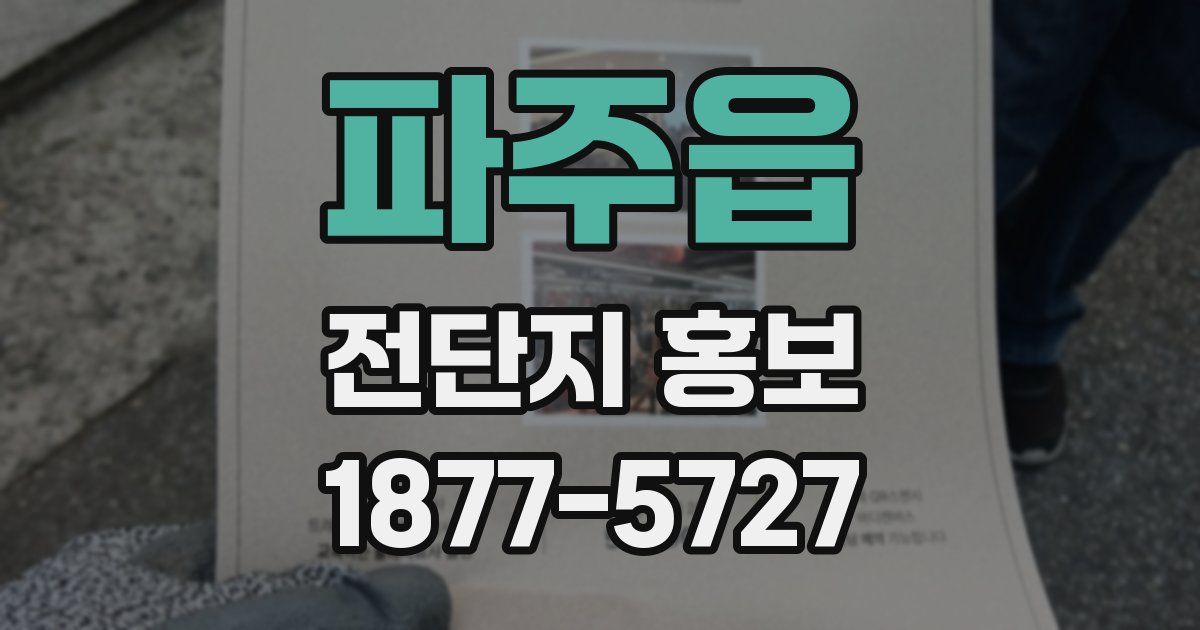 파주읍 전단지 홍보