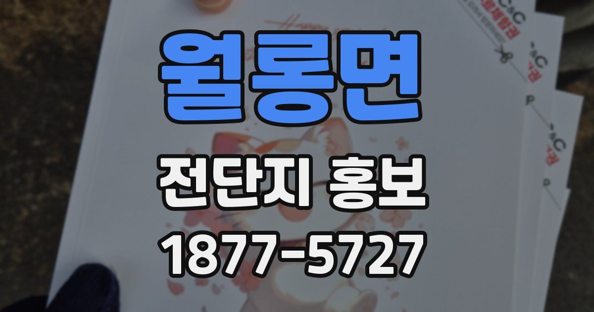 월롱면 전단지 홍보