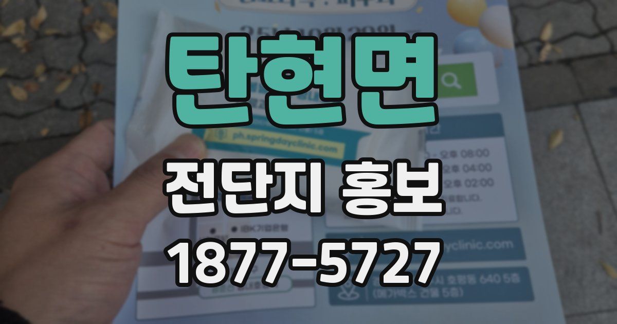 탄현면 전단지 홍보