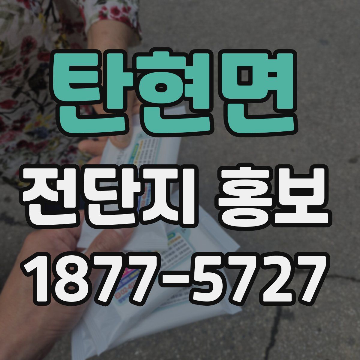 탄현면 전단지 홍보