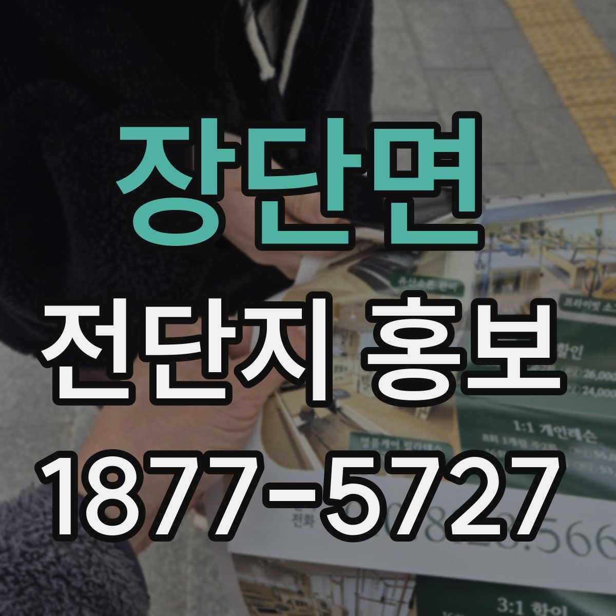 장단면 전단지 홍보