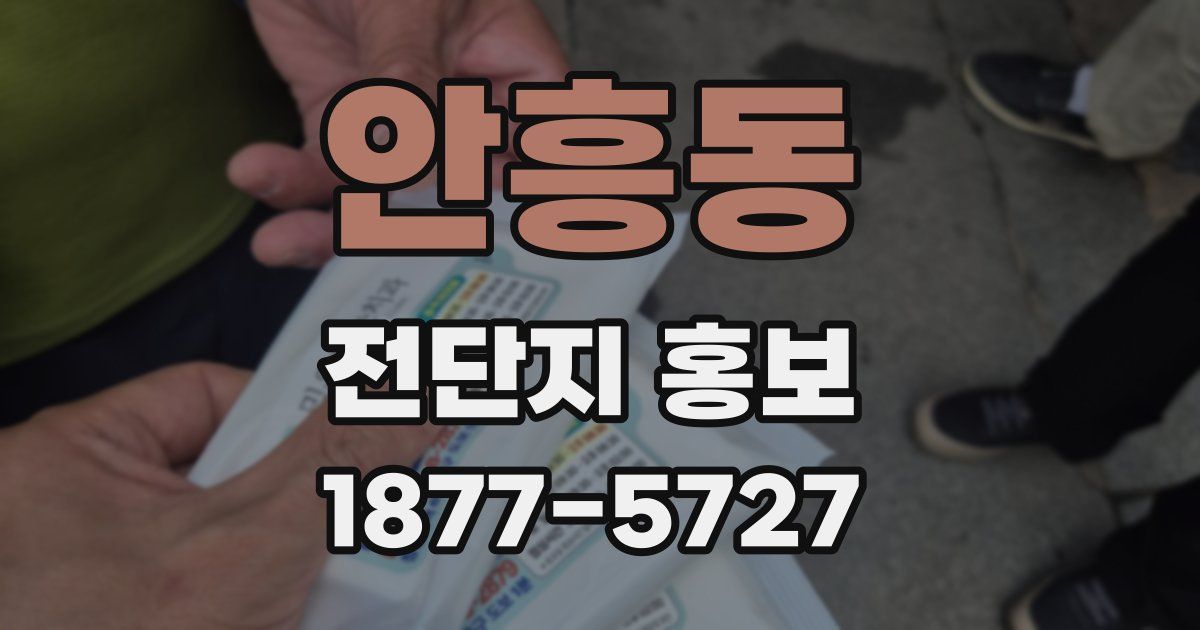 안흥동 전단지 홍보