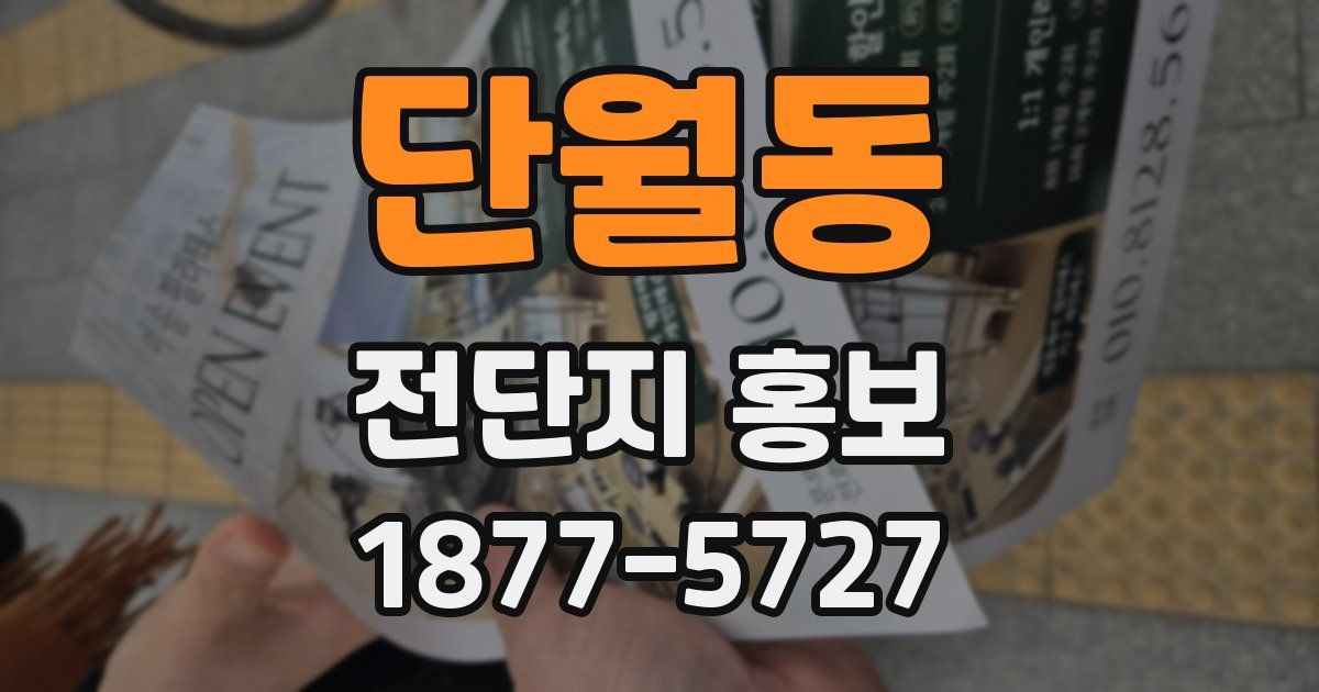 단월동 전단지 홍보