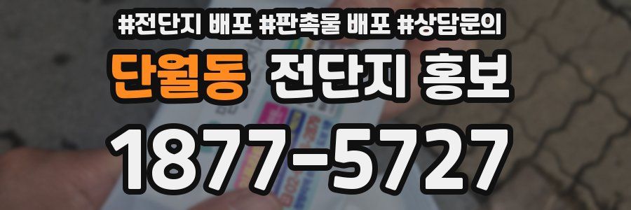 단월동 전단지 홍보