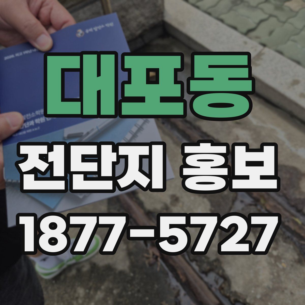 대포동 전단지 홍보