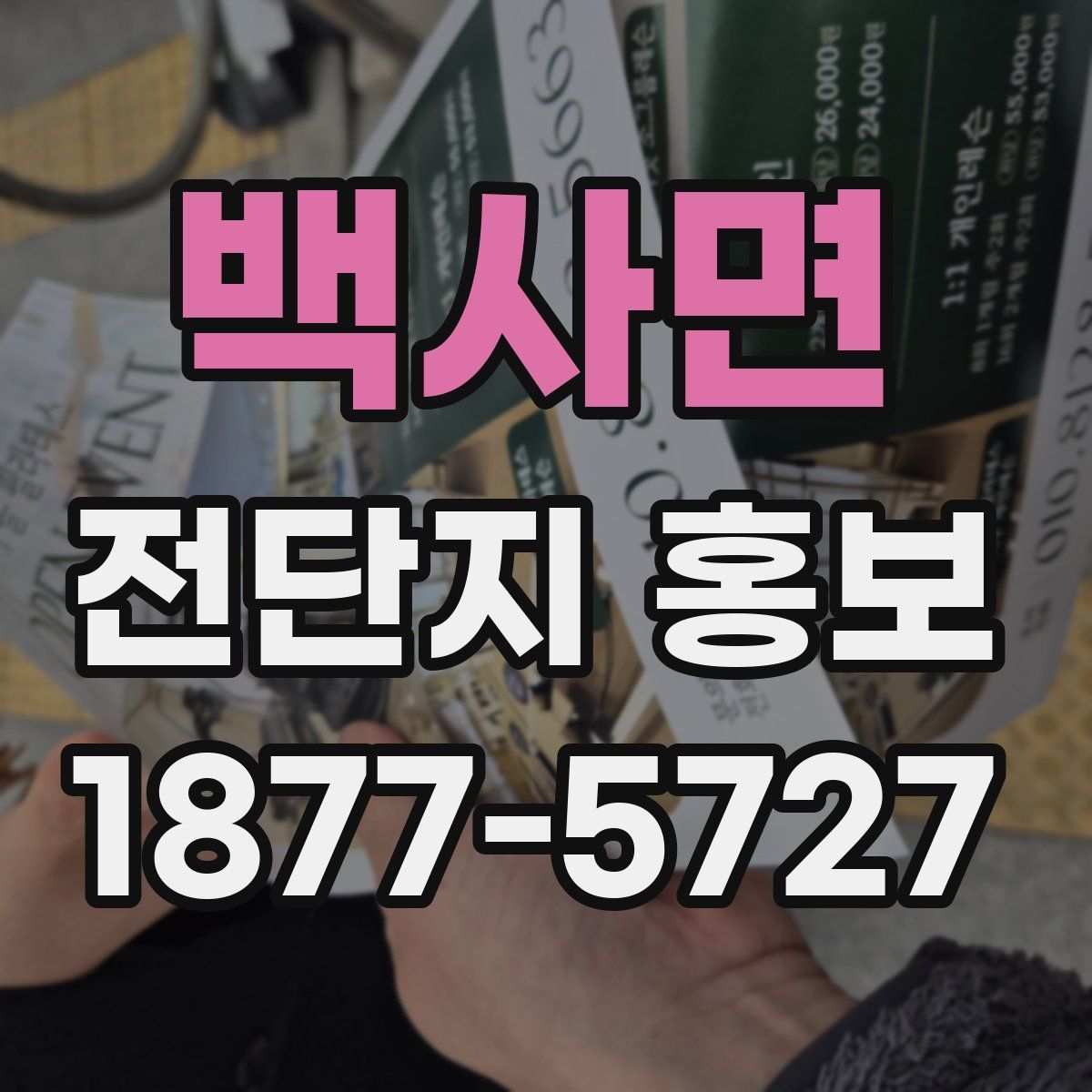 백사면 전단지 홍보