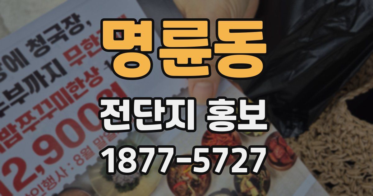 명륜동 전단지 홍보