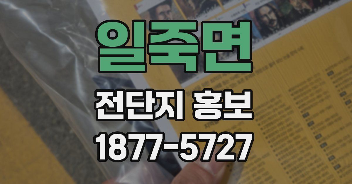 일죽면 전단지 홍보