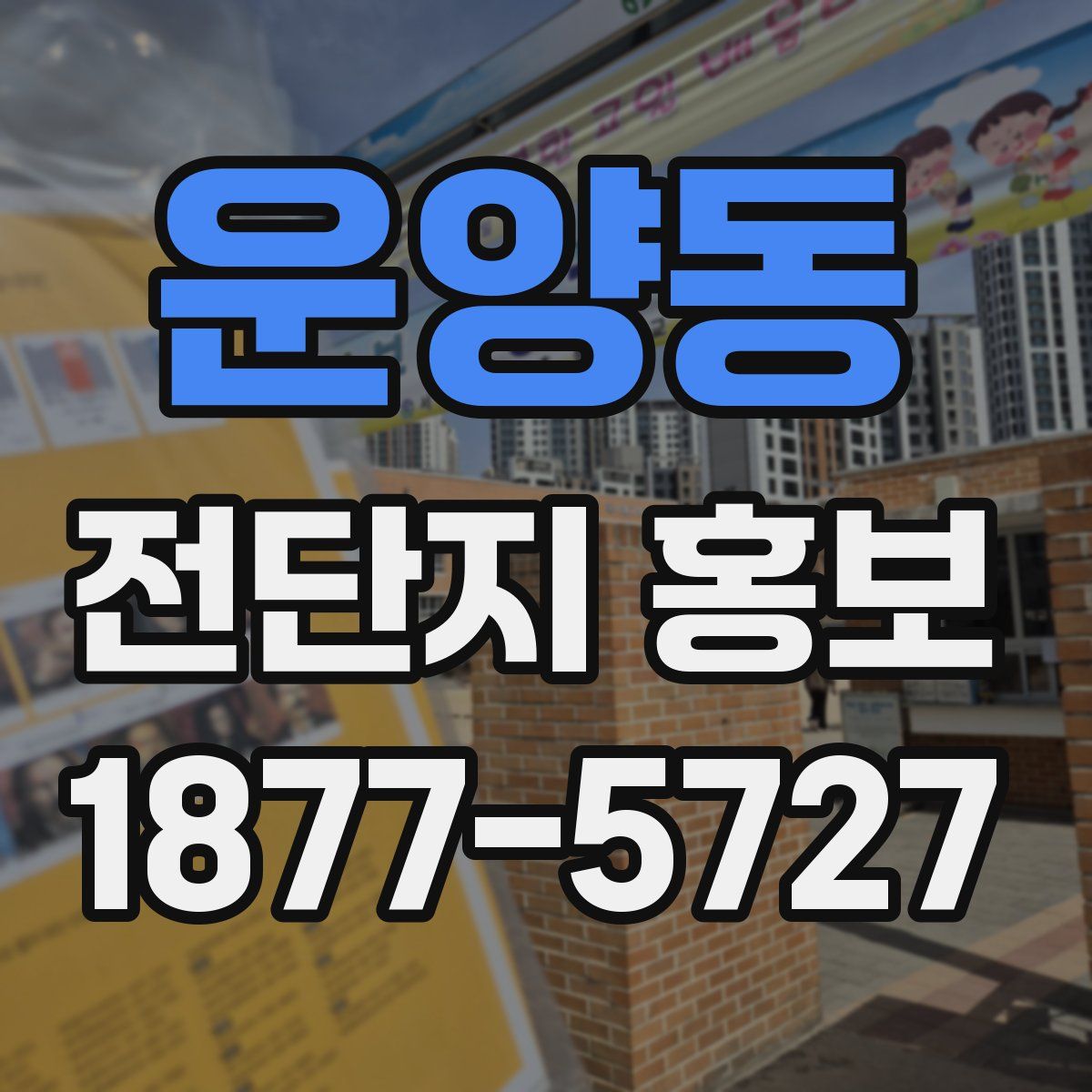 운양동 전단지 홍보