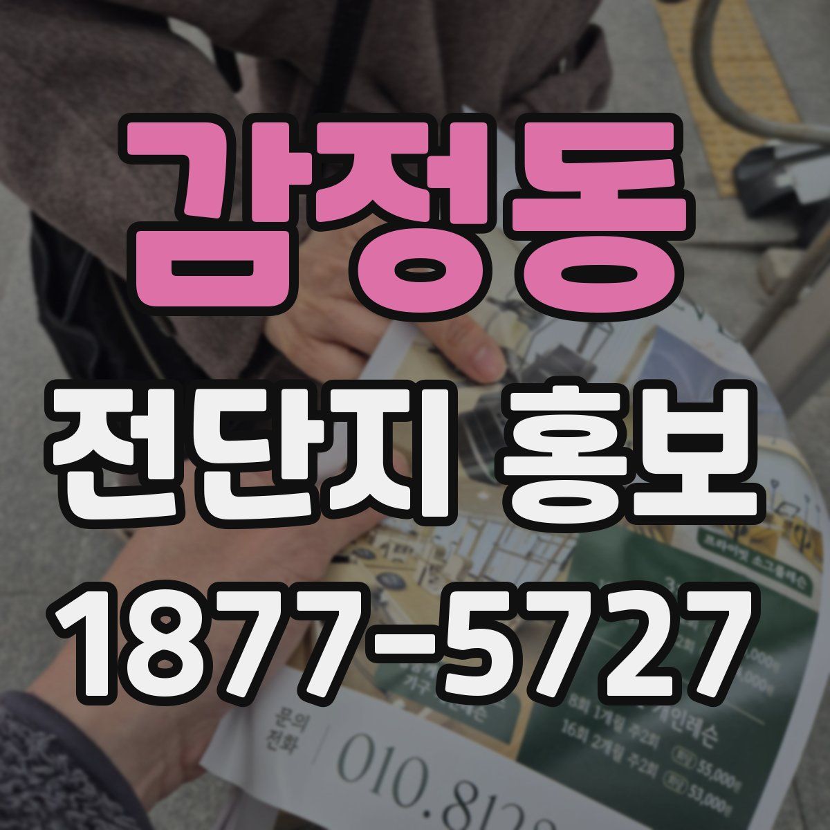 감정동 전단지 홍보