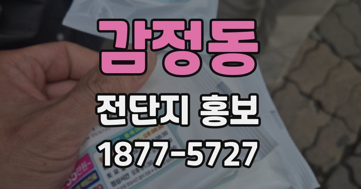 감정동 전단지 홍보