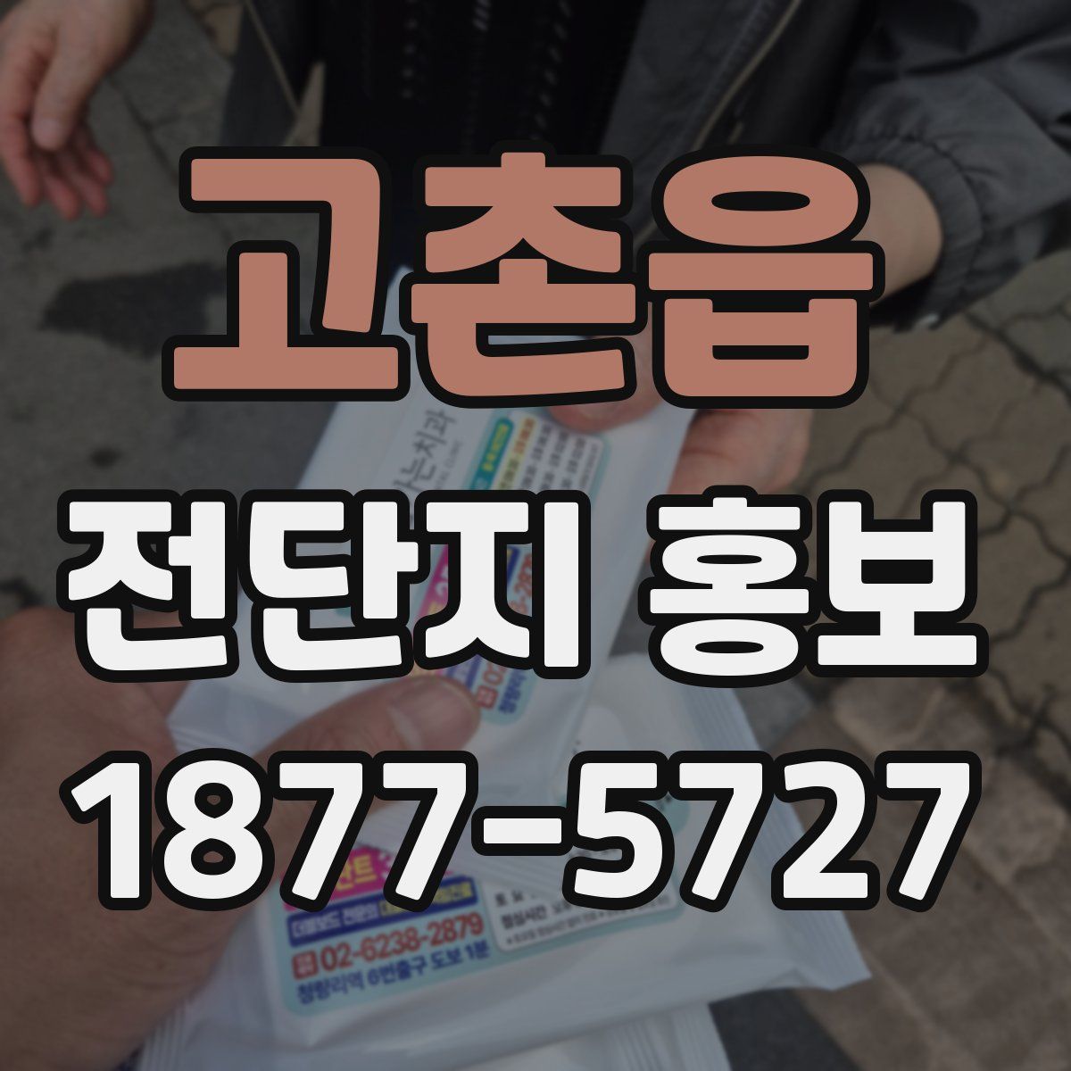 고촌읍 전단지 홍보
