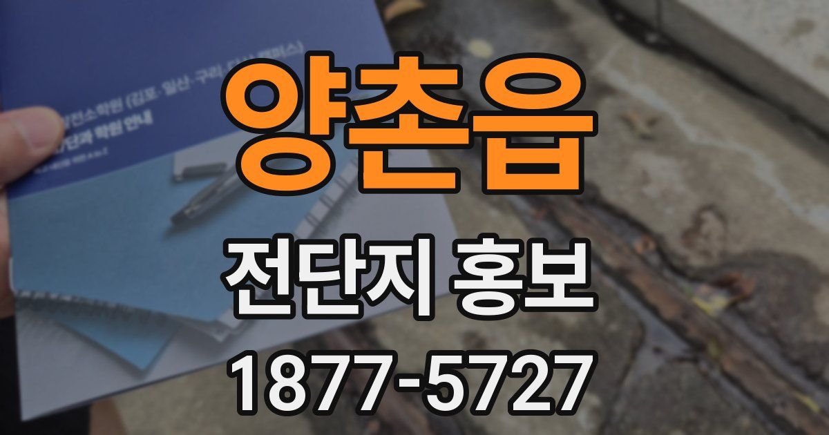 양촌읍 전단지 홍보