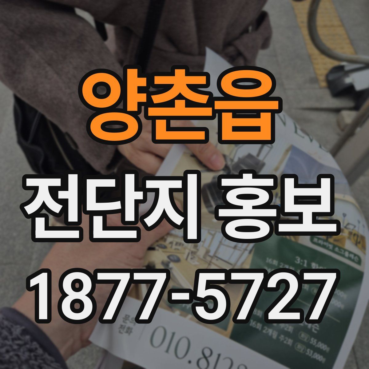 양촌읍 전단지 홍보