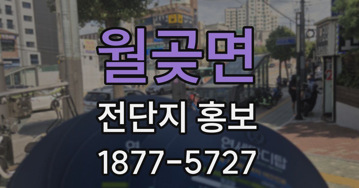 월곶면 전단지 홍보