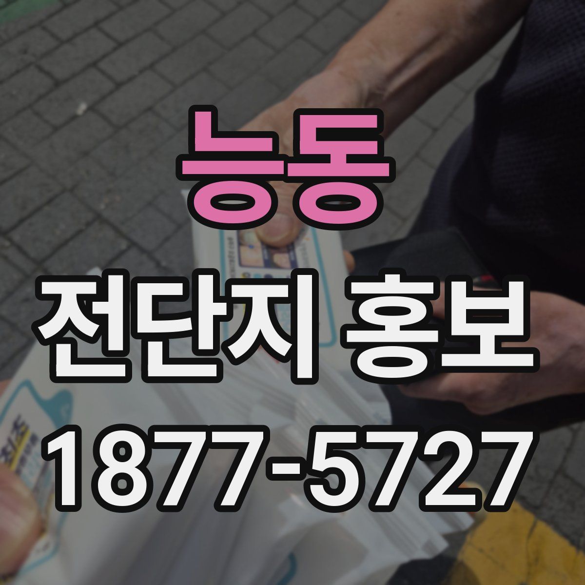 능동 전단지 홍보