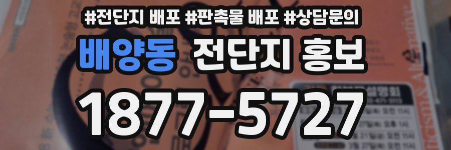 배양동 전단지 홍보
