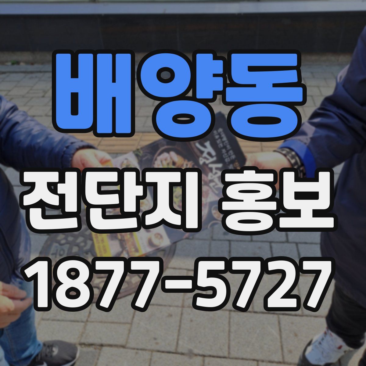 배양동 전단지 홍보