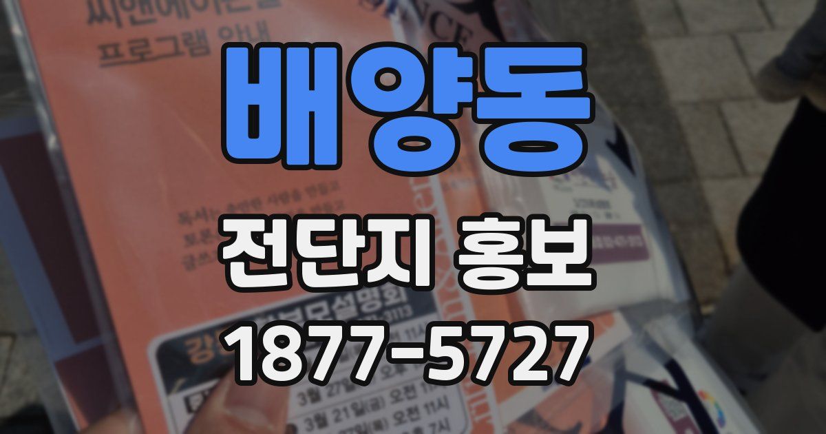 배양동 전단지 홍보