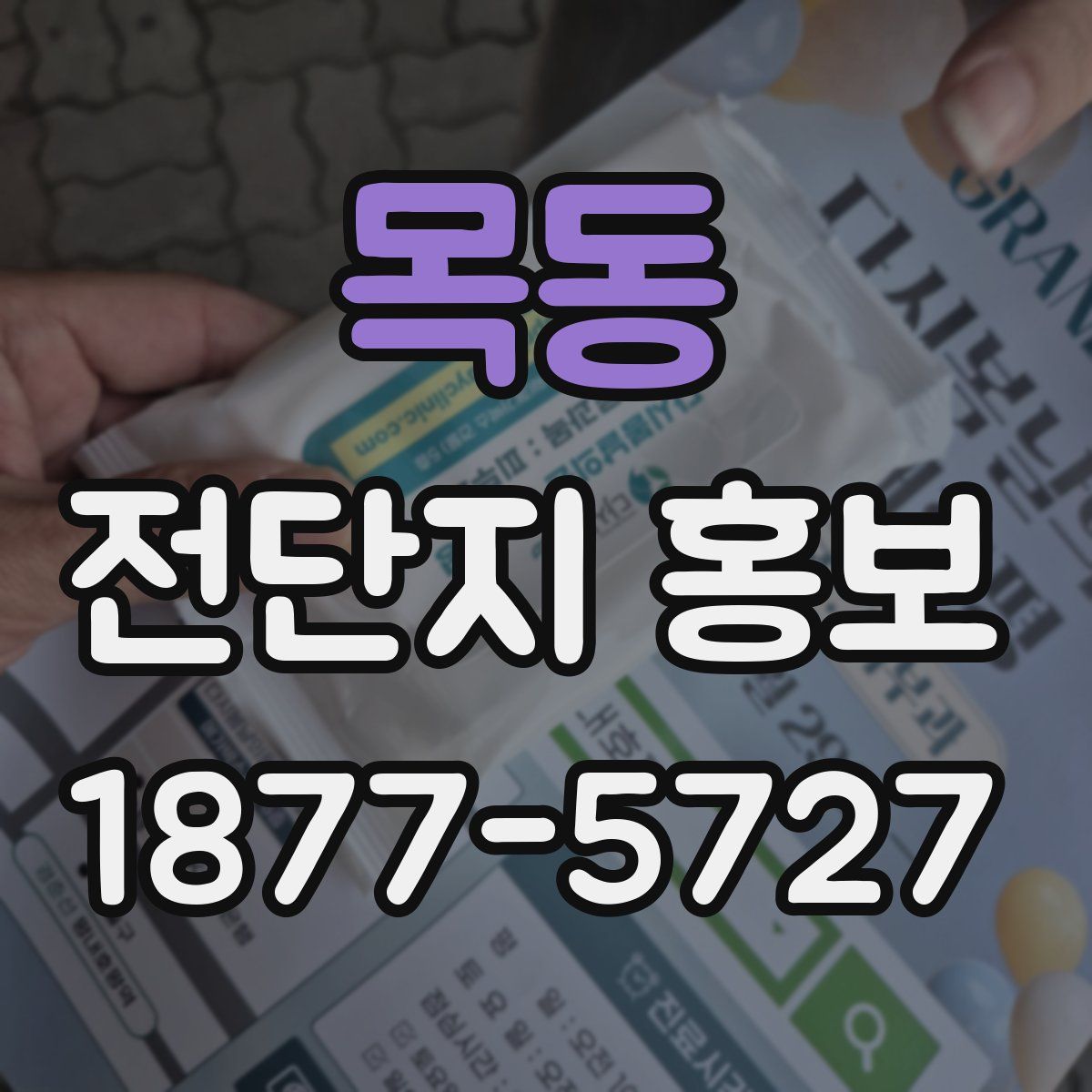 목동 전단지 홍보