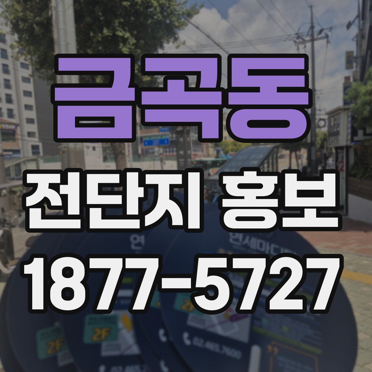 금곡동 전단지 홍보
