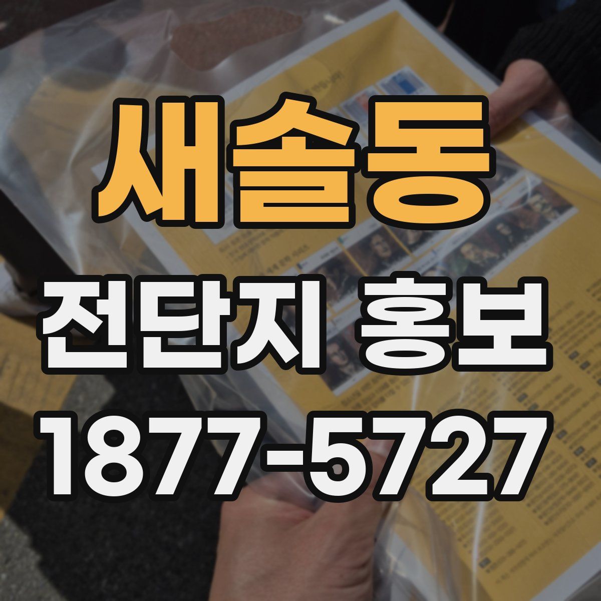 새솔동 전단지 홍보