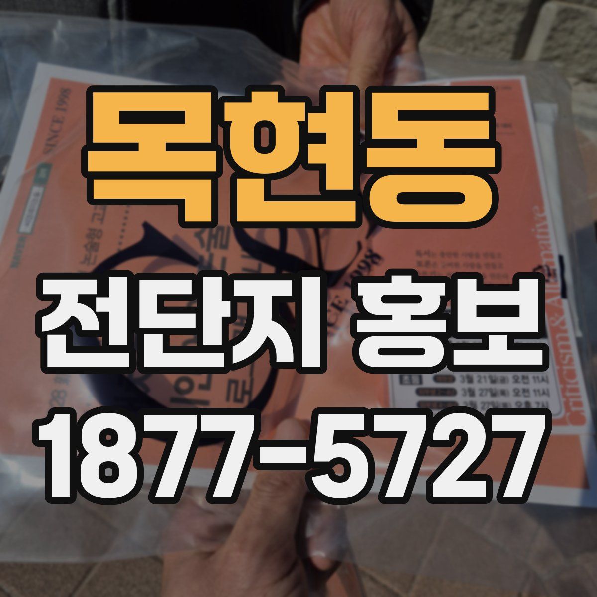 목현동 전단지 홍보