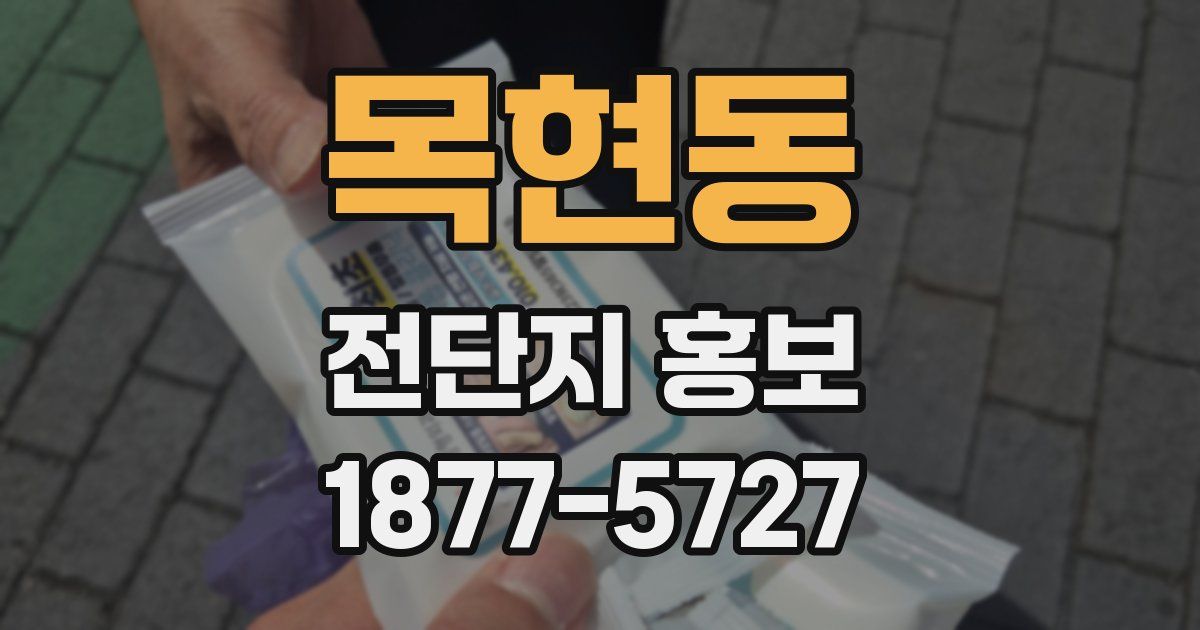 목현동 전단지 홍보