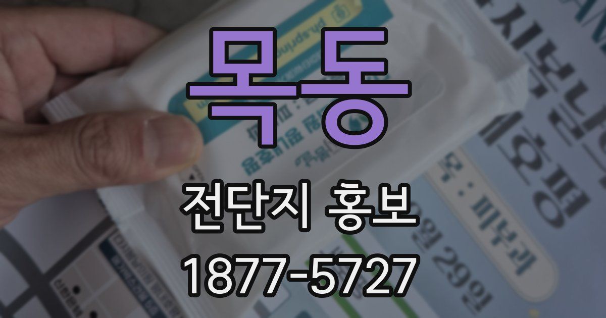 목동 전단지 홍보