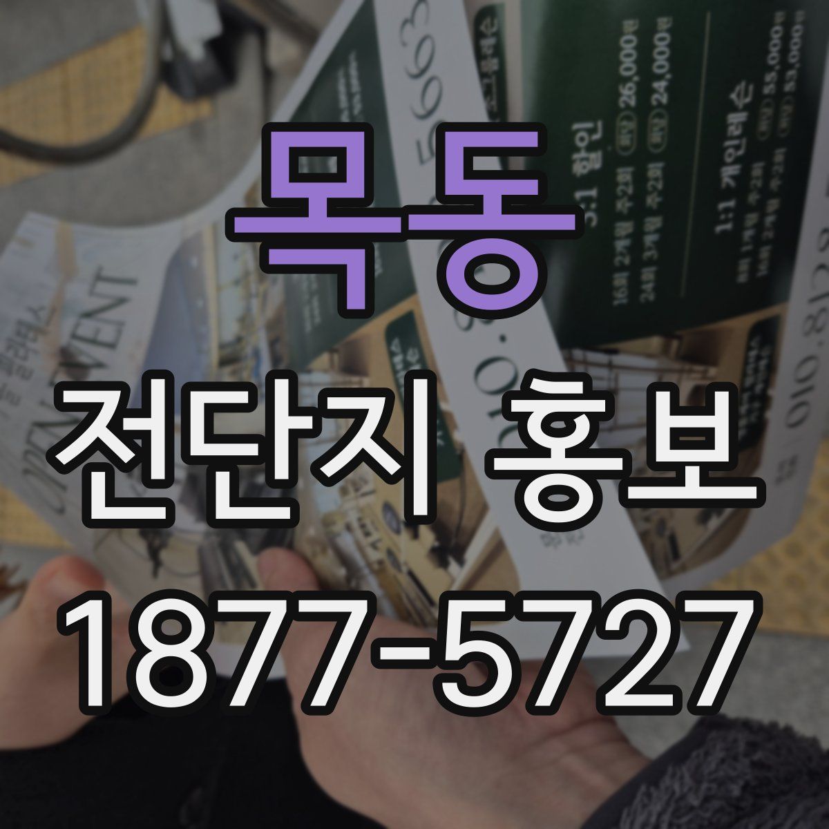 목동 전단지 홍보