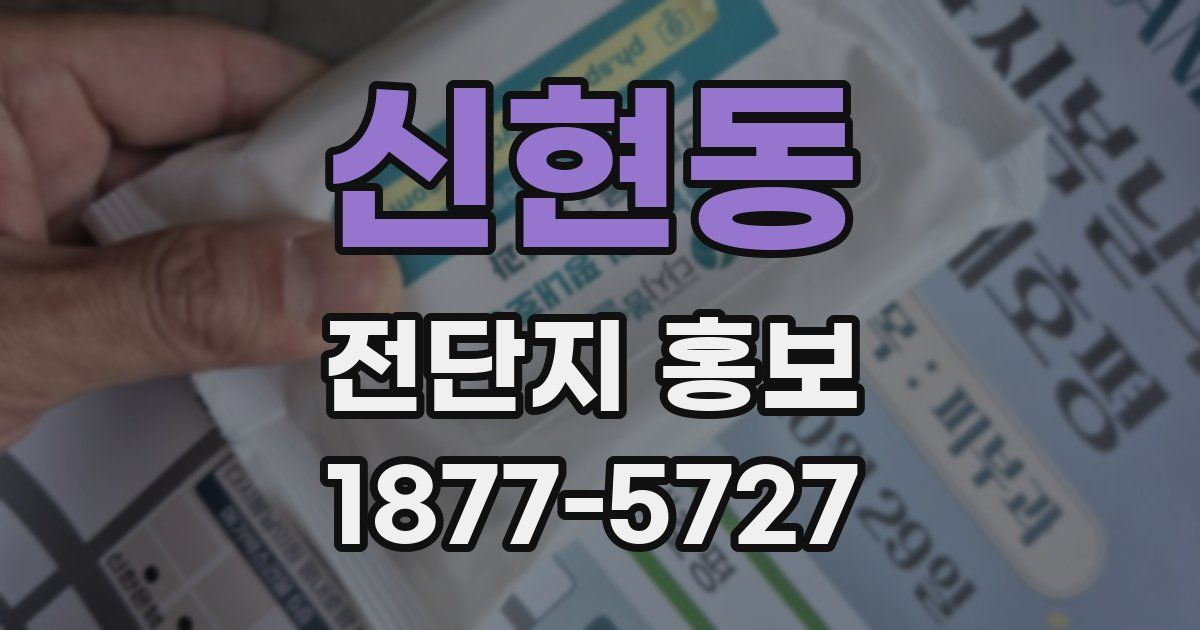 신현동 전단지 홍보