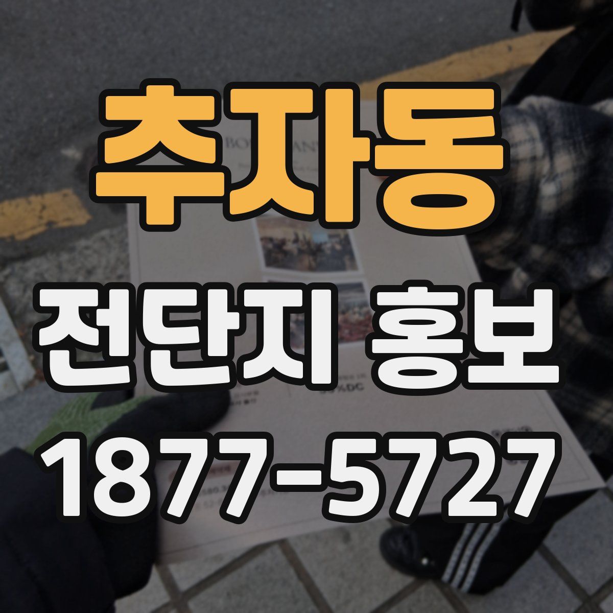 추자동 전단지 홍보