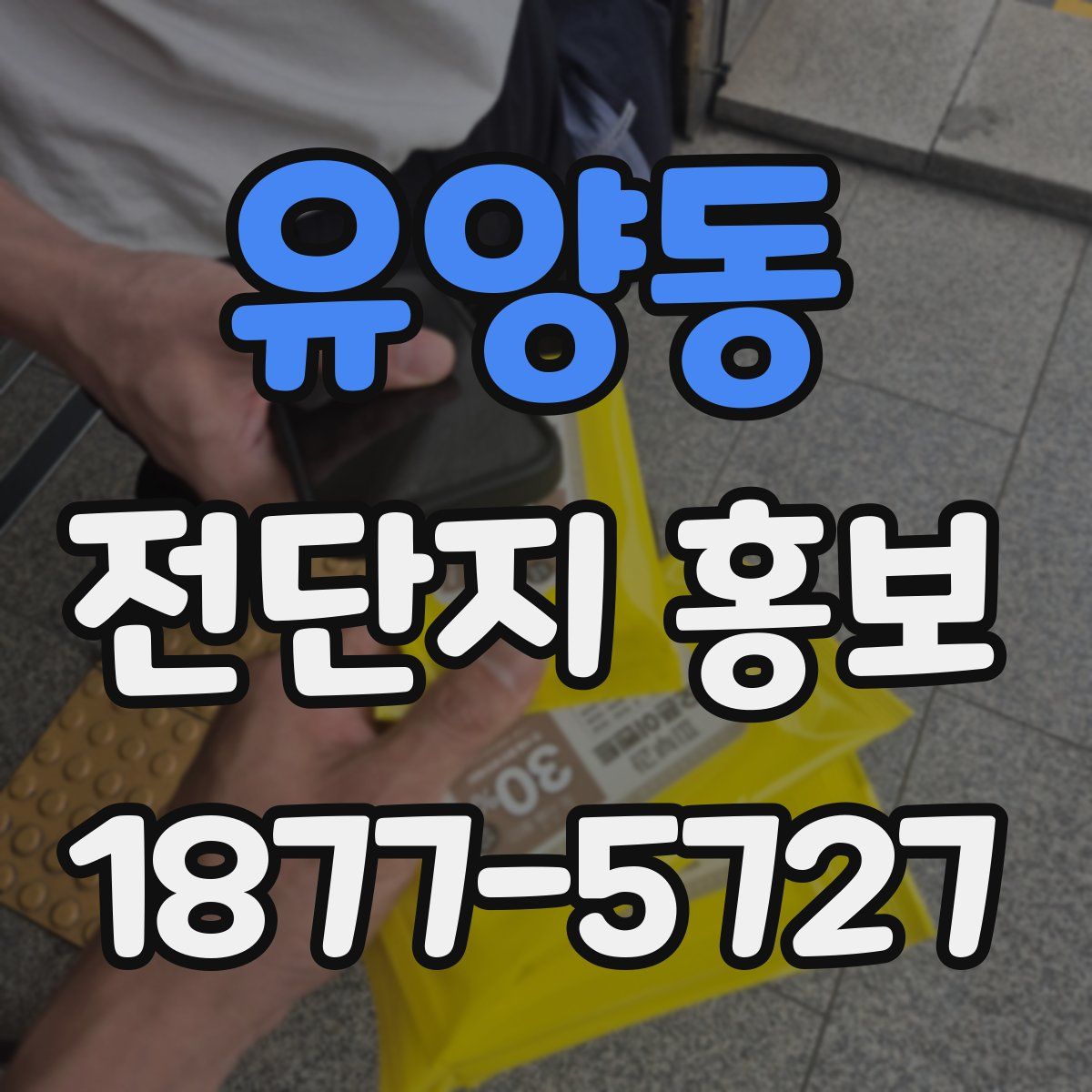 유양동 전단지 홍보