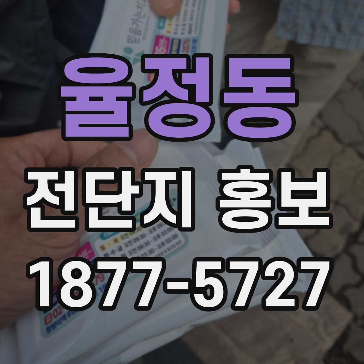 율정동 전단지 홍보